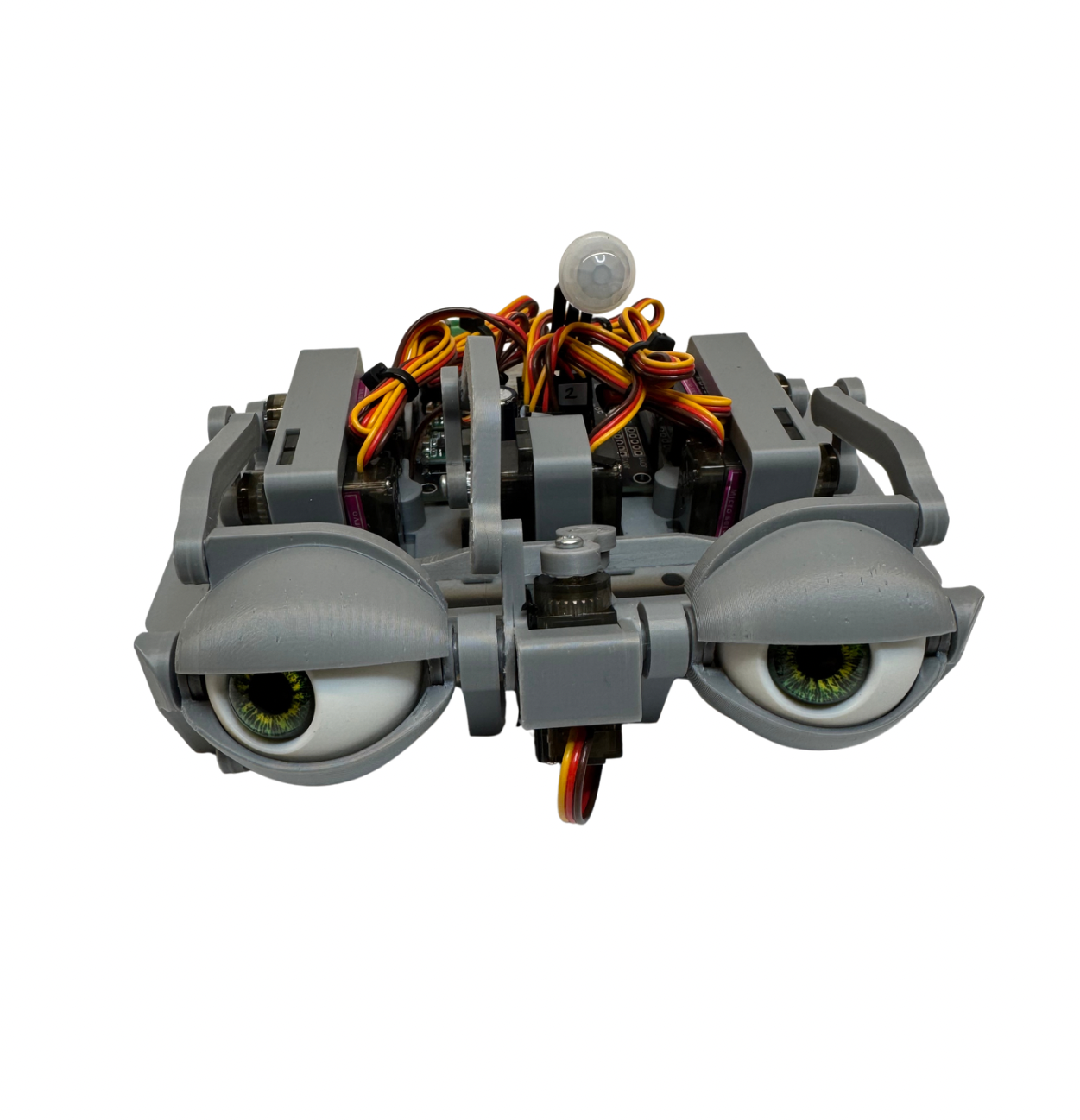 Untitled design - 1
